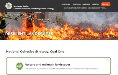 regional cohesive management strategy